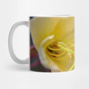 Evening Primrose Flower Mug